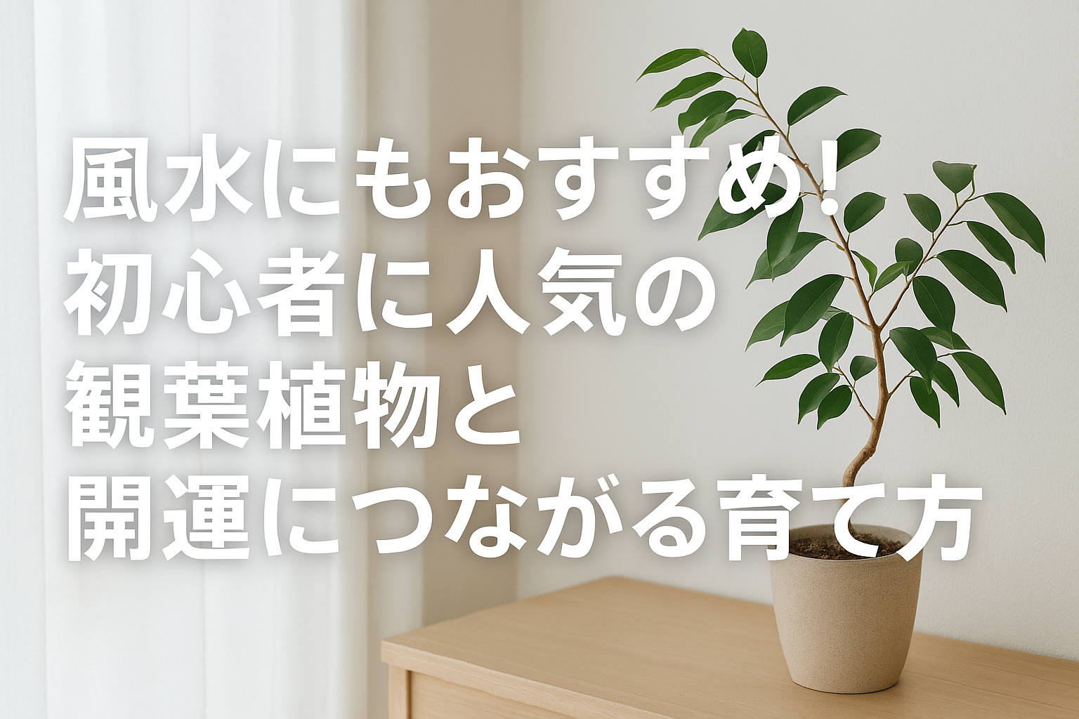 風水にもおすすめ！初心者に人気の観葉植物と開運につながる育て方